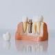 Toothopia Dental - Culver City